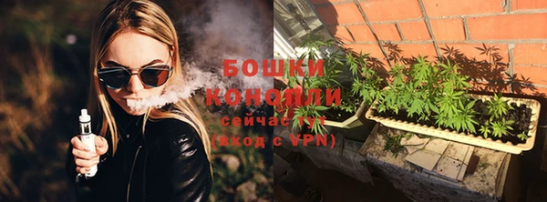 сатива Гусь-Хрустальный