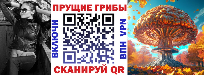 Псилоцибиновые грибы мицелий  Каргополь 
