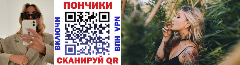 купить наркотики сайты  Каргополь  МАРИХУАНА OG Kush 