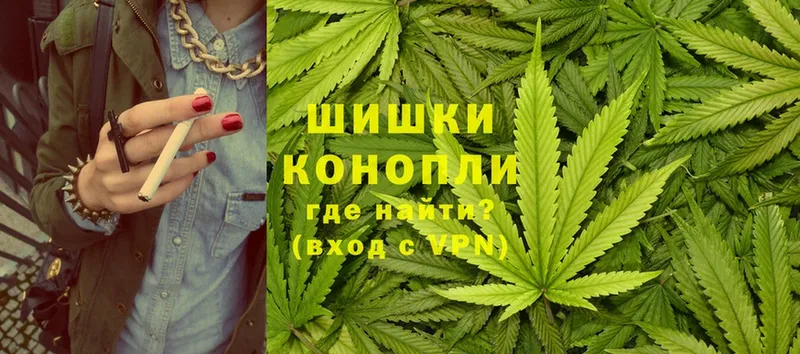 Бошки Шишки SATIVA & INDICA  купить наркотик  Каргополь 